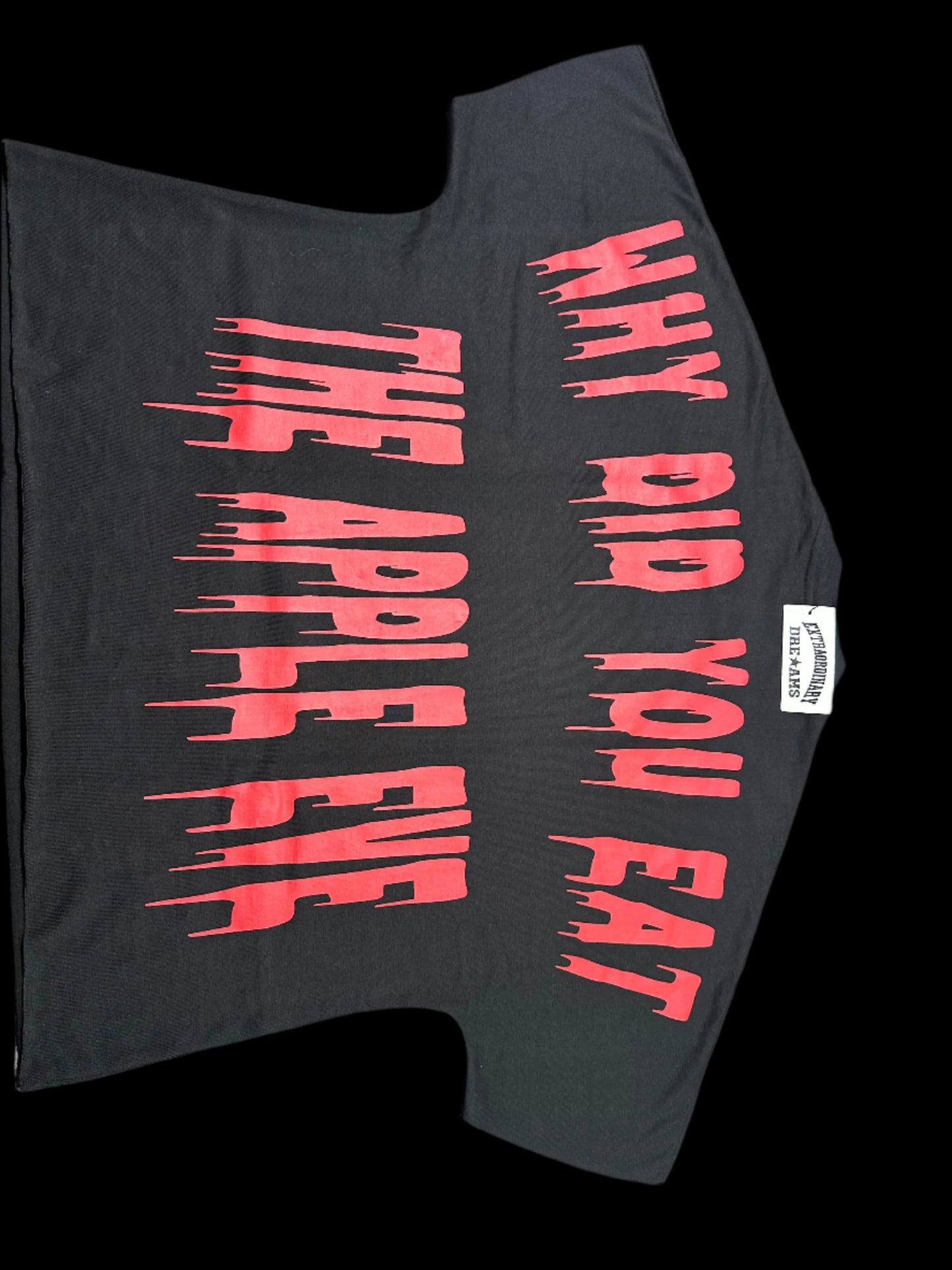 "WHY DID YOU EAT THE APPLE EVE" T-shirt cropped